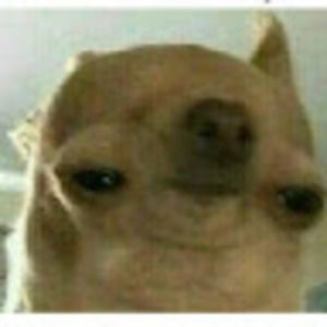 Meet your Posher, Actual_doge32